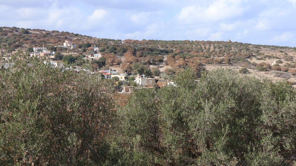 leipsidria-ksiransi-elies-vlastisi-lasithi-25-6 Γ. Ανδρουλάκης: Eκτενής επιστολή προς τον Υπουργό Αγροτικής Ανάπτυξης για το μεγάλο πρόβλημα της λειψυδρίας