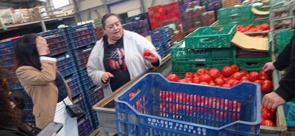 epal-erasmus-2-25-3 Επίσκεψη Εκπαιδευτικών από το IES POLÍGONO SUR της Ισπανίας στο 1ο Επαγγελματικό Λύκειο και Ε.Κ Ιεράπετρας