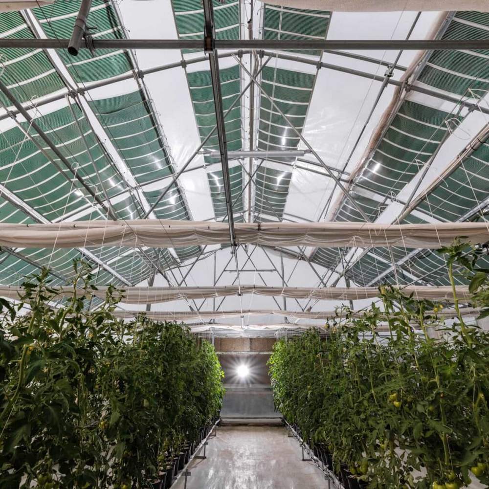 e-plastikagr-agroexpo-ierapetra-25-2 Ε-plastika.gr: Νέες καινοτομίες σε φύλλα κάλυψης θερμοκηπίου παρουσιάζονται για πρώτη φορά στην Ιεράπετρα