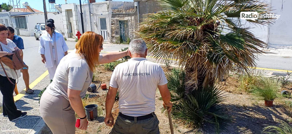 numo-ierapetra-ethelontiki-drasi-fitefsi-2025-7 Εργαζόμενοι από το Numo Ierapetra ομόρφυναν την είσοδο του αλιευτικού καταφυγίου