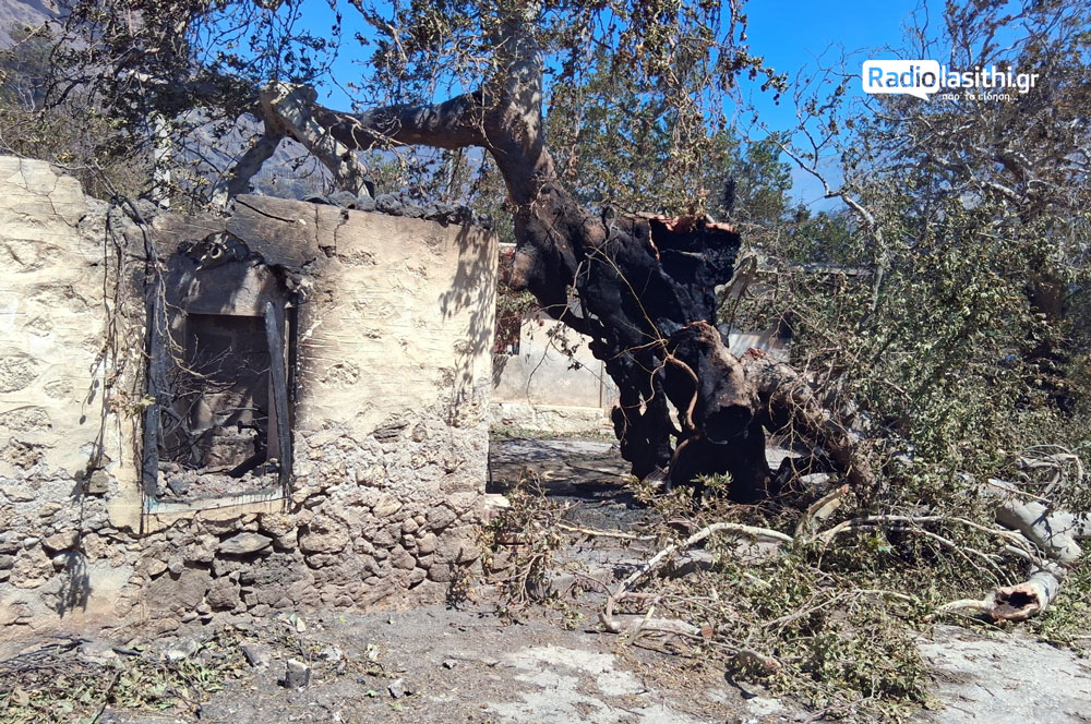 Pirkagia-ferma-25-4 Παραμένει εκτός ελέγχου και σε διάσπαρτα μέτωπα η πυρκαγιά στην Ιεράπετρα – Μάχη με ενισχυμένα εναέρια μέσα μέχρι το τελευταίο φως