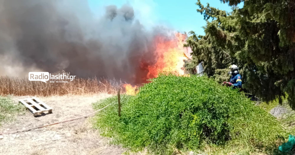 pirkagia-ierapetra-25-5 Eπικίνδυνη πυρκαγιά ξέσπασε στην πόλη της Ιεράπετρας