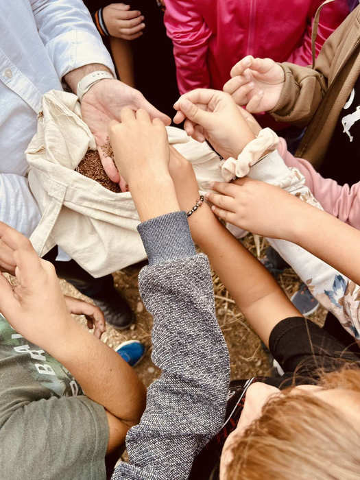 5o-dimotiko-drasi-nov-25-19 Εξόρμηση του Πανεπιστημίου των Ορέων με δράσεις για τους μαθητές του 5ου Δημοτικού Σχολείου Ιεράπετρας και Καλαμαύκας