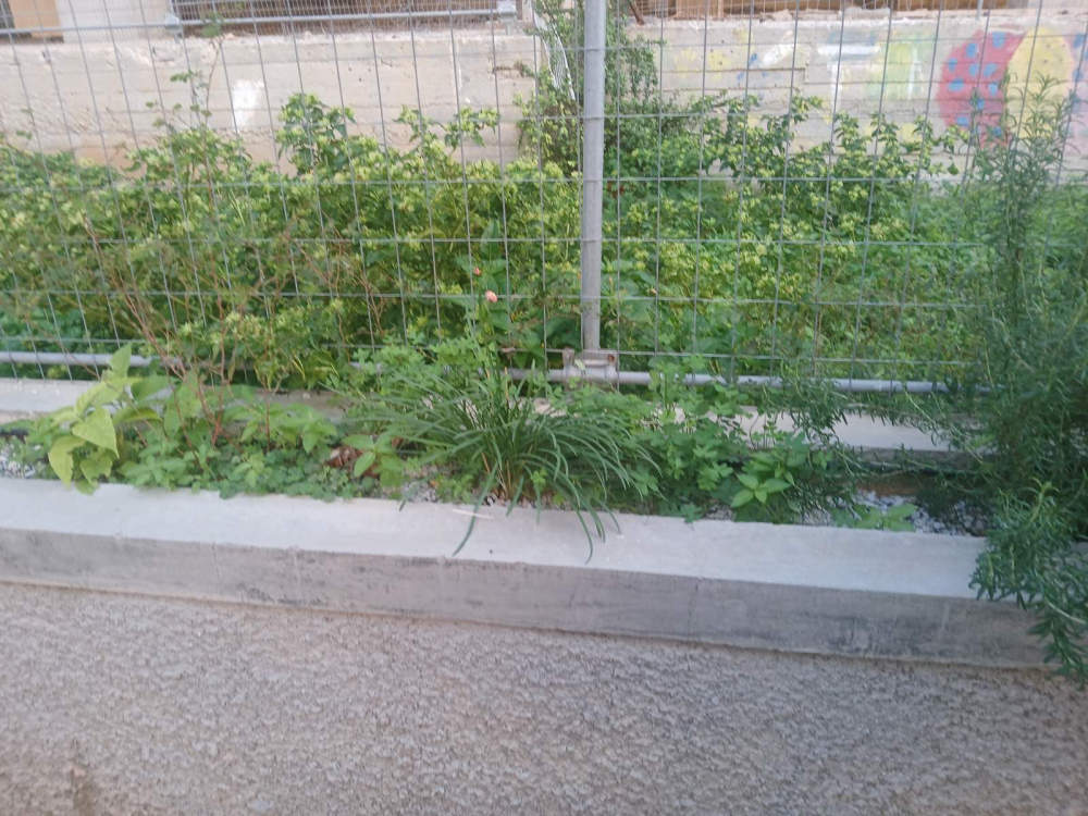 nipiagogeio-ierapetra-25-5 Οι μαμάδες ανέλαβαν δράση για την περιποίηση του 4ου Νηπιαγωγείου Ιεράπετρας