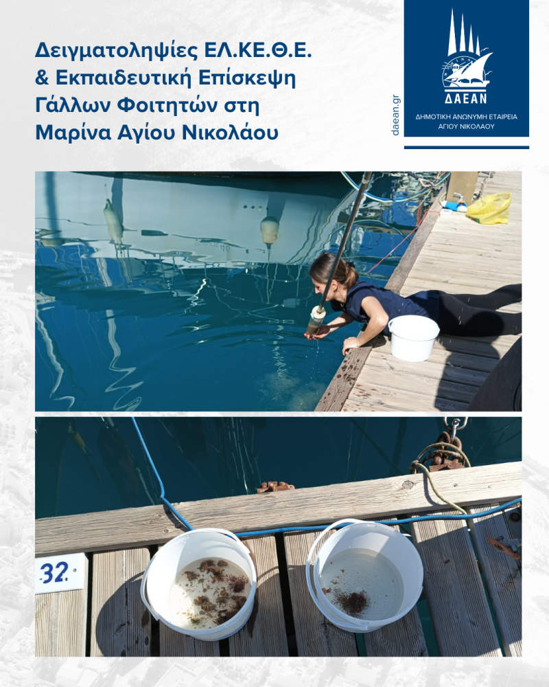 agios-nikolaos-marina-26-3 Δειγματοληψίες ΕΛ.ΚΕ.Θ.Ε. και Εκπαιδευτική Επίσκεψη Γάλλων Φοιτητών στη Μαρίνα Αγίου Νικολάου